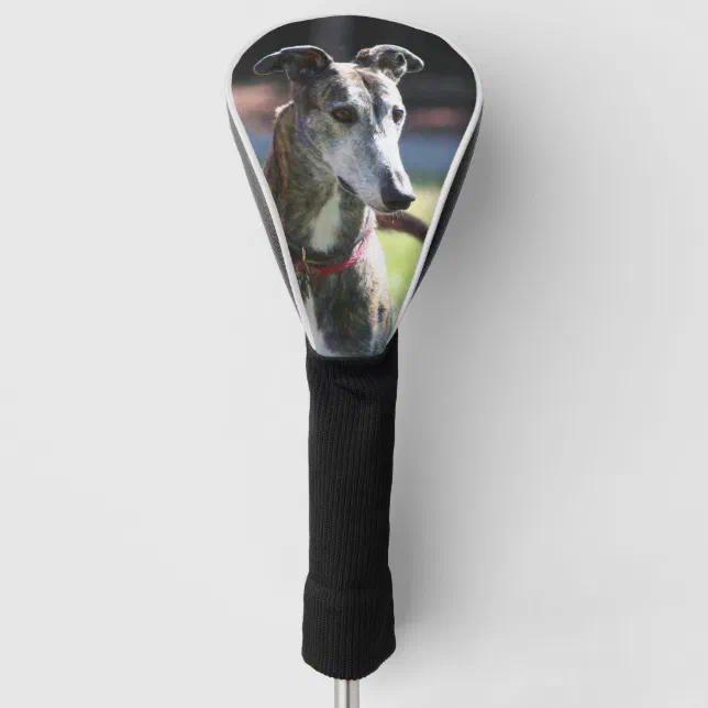 Greyhound dog golf head cover Zazzle