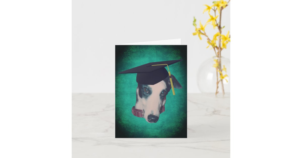 Greyhound dog in graduation cap note card zazzle