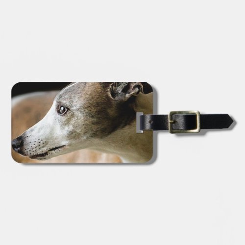 Greyhound Dog Luggage Tag