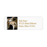 Greyhound Dog  Mailing Labels
