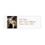 Greyhound Dog  Mailing Labels