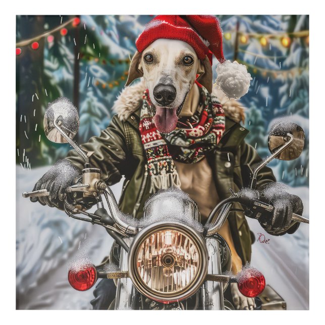 Greyhound Dog Riding Motorcycle Christmas  Acrylic Print (Front)