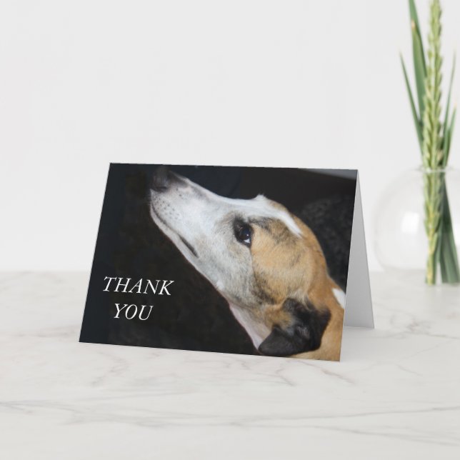 Greyhound Dog Thank You Card (Front)
