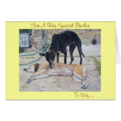 greyhound dogs scenic landscape for brother (Front Horizontal)
