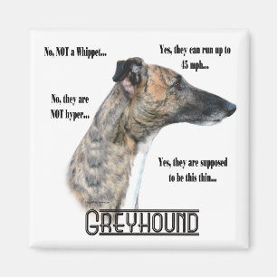 Greyhound FAQ Magnet