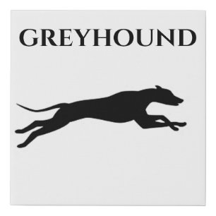 Greyhound faux wrapped canvas. canvas print