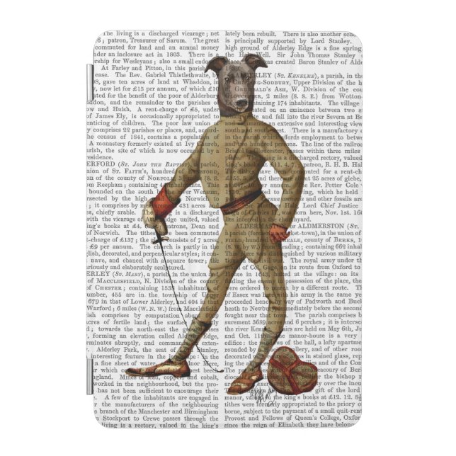Greyhound Fencer Dark Full 2 iPad Mini Cover (Front)