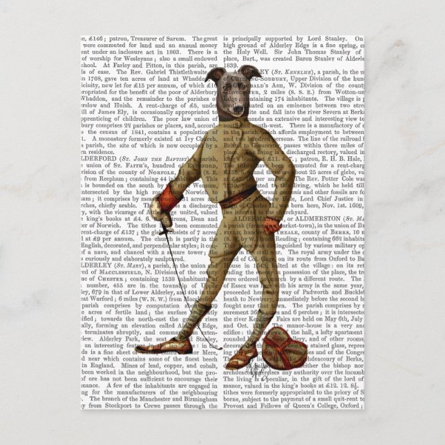 Greyhound Fencer Dark Full 2 Postcard (Front)