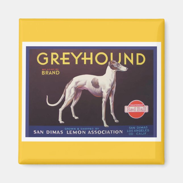Greyhound Fruit Crate Label Magnet (Front)