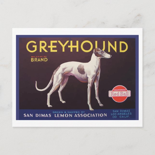 Greyhound Fruit Crate Label Postcard (Front)