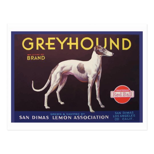 Greyhound Fruit Crate Label Postcard
