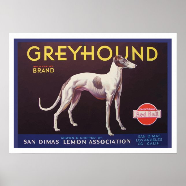 Greyhound Fruit Crate Label Poster (Front)