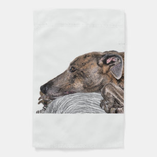 greyhound garden flag