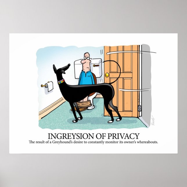 Greyhound Glossary Ingreysion of Privacy Poster (Front)