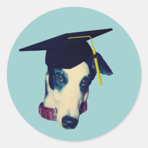 Greyhound Graduation Cap Funny Classic Round Sticker