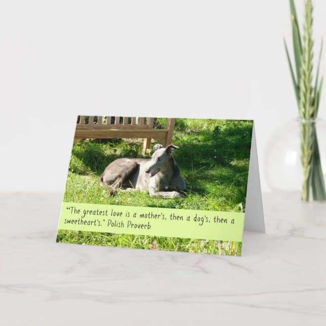 Greyhound Greeting Card (Front)