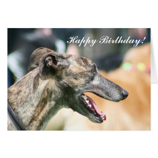 Greyhound Happy Birthday greeting card | Zazzle