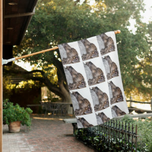 greyhound house flag