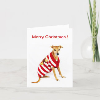 Greyhound in a Christmas Jumper ! Holiday Card