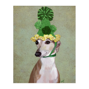 Greyhound in Green Knitted Hat Acrylic Print
