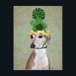 Greyhound in Green Knitted Hat Postcard<br><div class="desc">Pets</div>