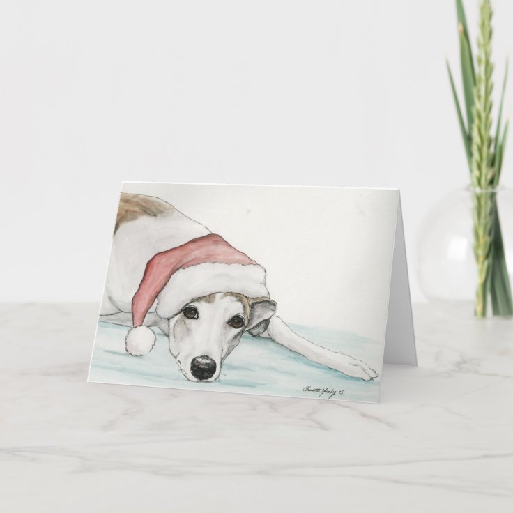 "Greyhound in Santa Hat" Dog Art Christmas Card Zazzle