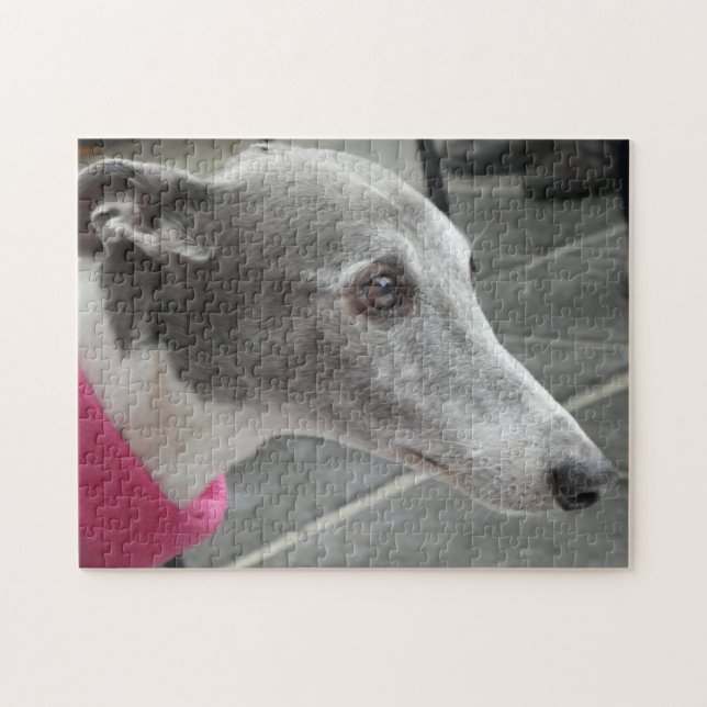 Greyhound jigsaw puzzle (Horizontal)