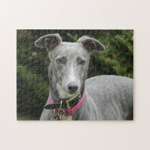Greyhound jigsaw puzzle
