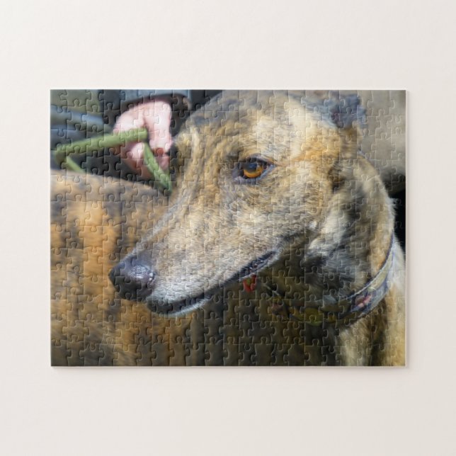 Greyhound jigsaw puzzle (p289) (Horizontal)