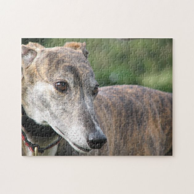 greyhound jigsaw