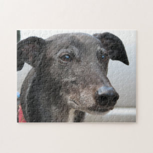 Greyhound jigsaw puzzle (p99) Diesel