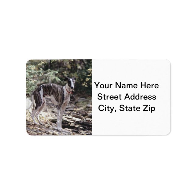 Greyhound Label (Front)