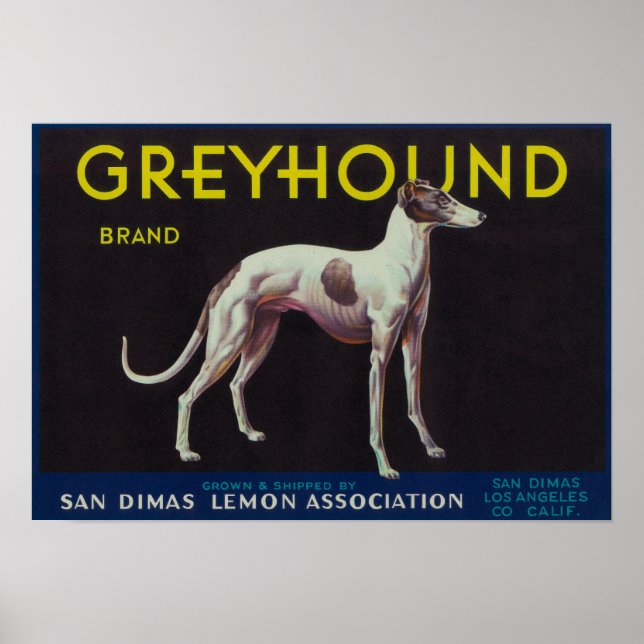 Greyhound Lemon LabelSan Dimas, CA Poster (Front)
