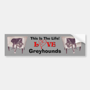 Greyhound Love This Is The Life Cute Bumper Sticker
