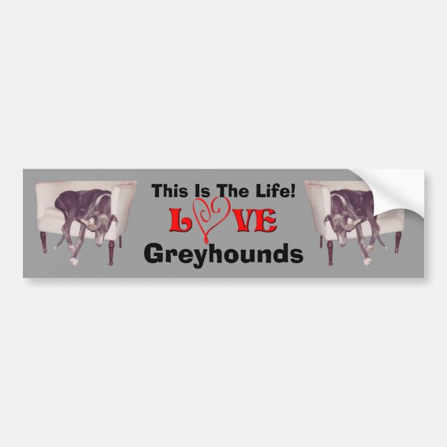 Greyhound Love This Is The Life Cute  Bumper Sticker (Front)