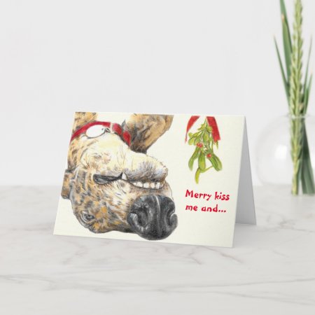 Greyhound Lovers Christmas Card