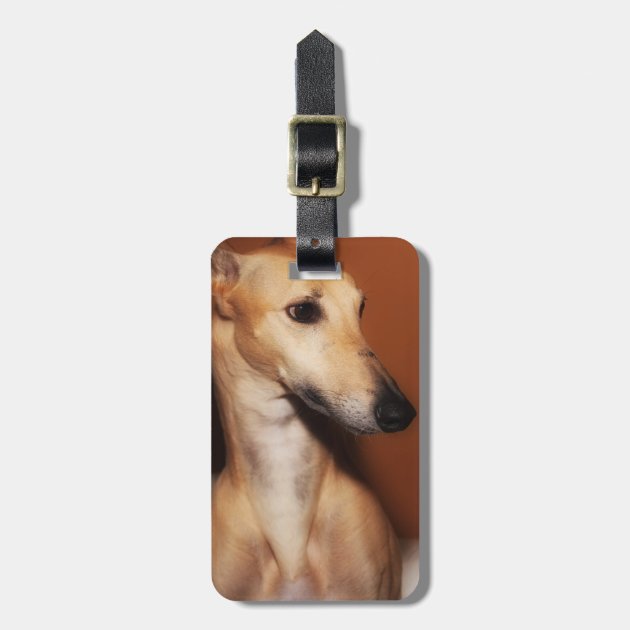 greyhound luggage tag