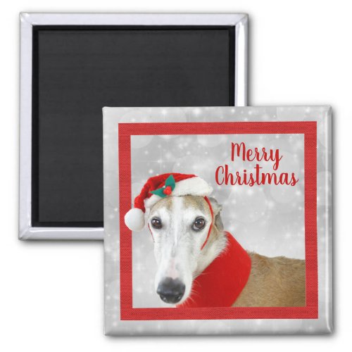 Greyhound Merry Christmas Magnet