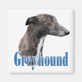 Greyhound Name Magnet
