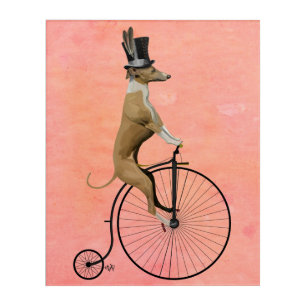 Greyhound on Black Penny Farthing Acrylic Print