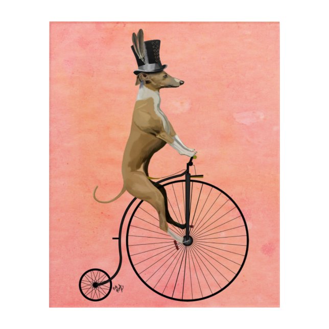 Greyhound on Black Penny Farthing Acrylic Print (Front)