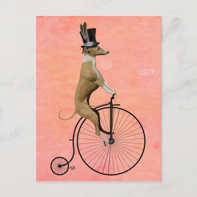 Greyhound on Black Penny Farthing Postcard (Front)
