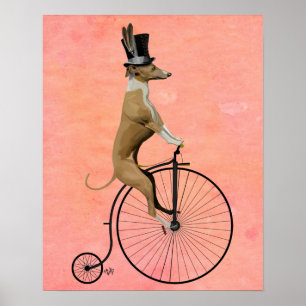 Greyhound on Black Penny Farthing Poster