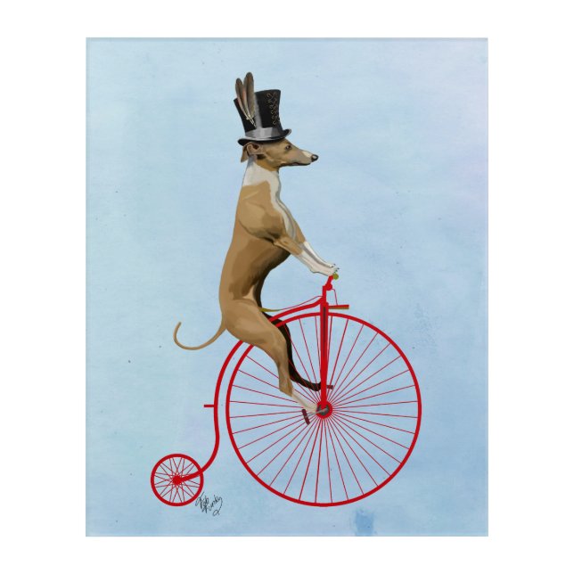 Greyhound on Red Penny Farthing Bike Acrylic Print (Front)