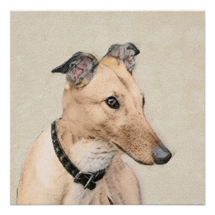 Greyhound Painting - Cute Original Dog Art Poster