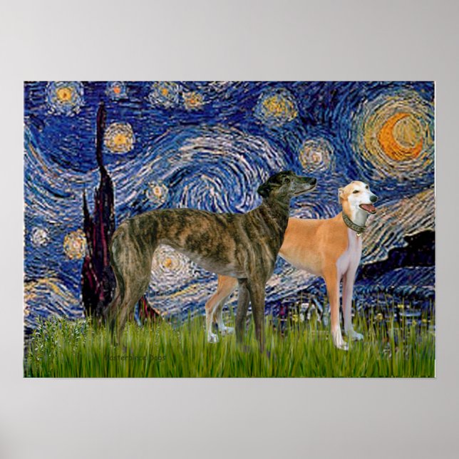 Greyhound Pair - Starry Night Poster (Front)