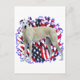 Greyhound Patriot Postcard