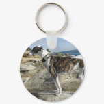 Greyhound Photographs Keychain