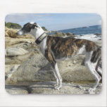 Greyhound Photographs Mouse Pad