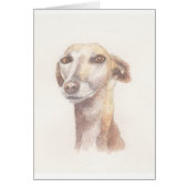 Greyhound portrait (Front)